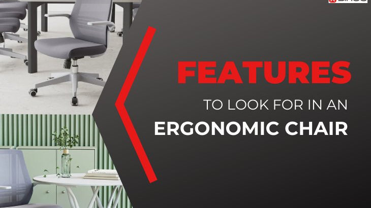 Features To Look For An Ergonomic Chair - SIHOO Australia