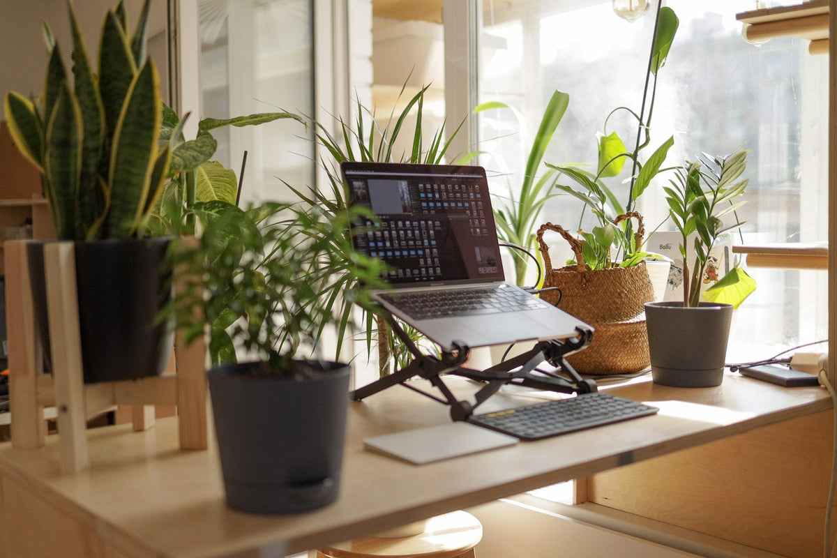 Part Time Work From Home Jobs in Australia: A Guide