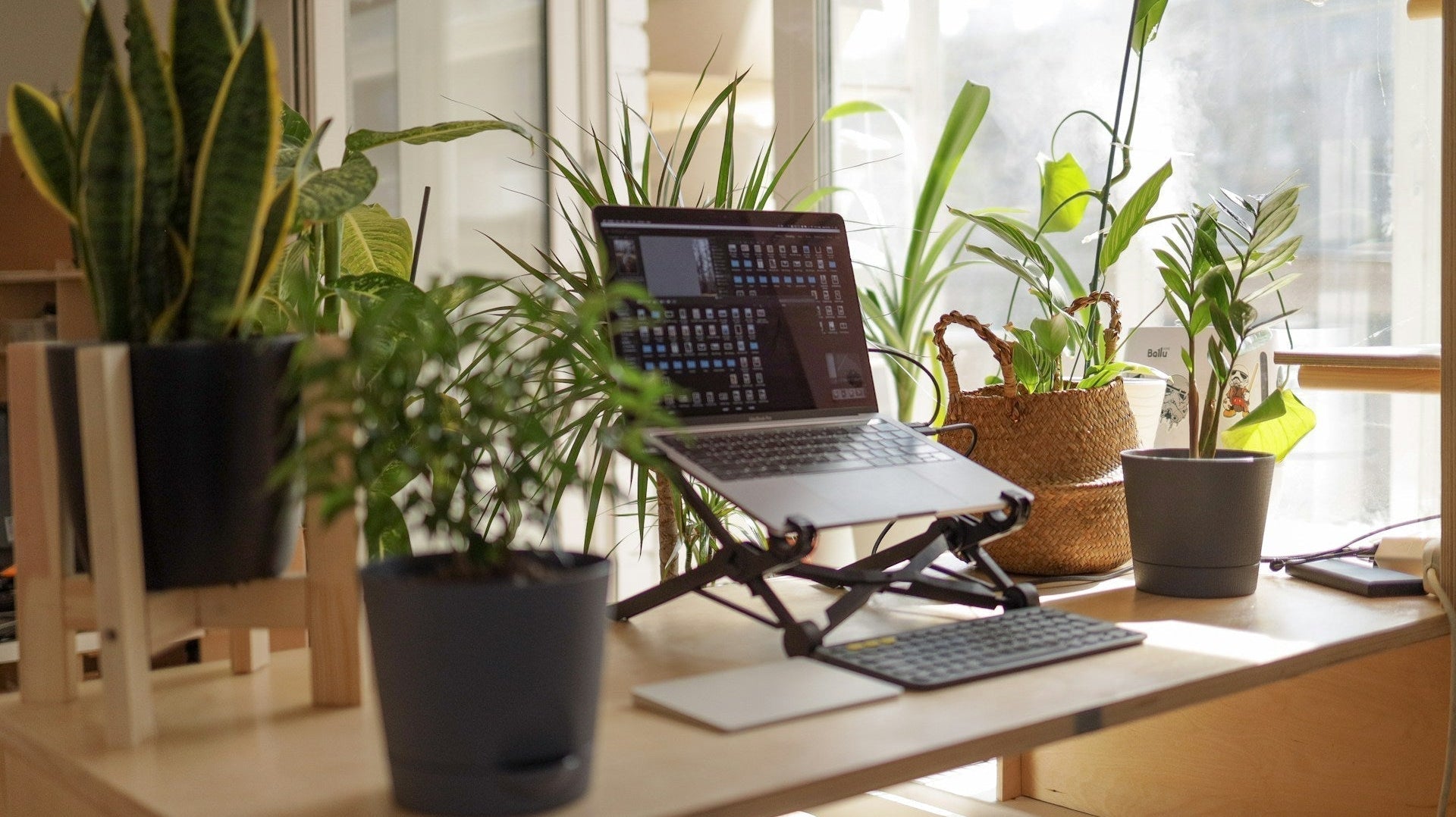 A home office with lots of plants, perfect setup for part time work from home jobs in australia. Image by vadim kaipov via www.unsplash.com