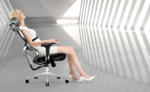The Perfect Seat: Why Your Office Chair Matters and How to Choose the Right One