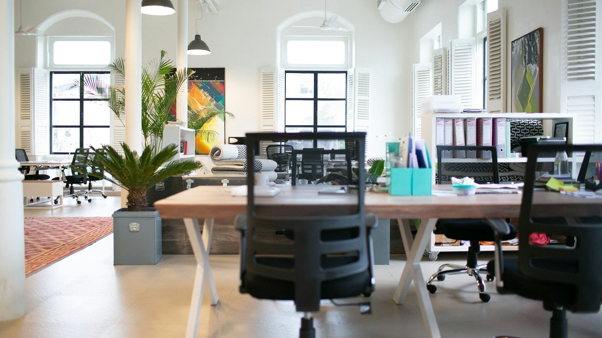 Modern office space with trendy office chairs, wooden desks, indoor plants, and bright natural lighting.