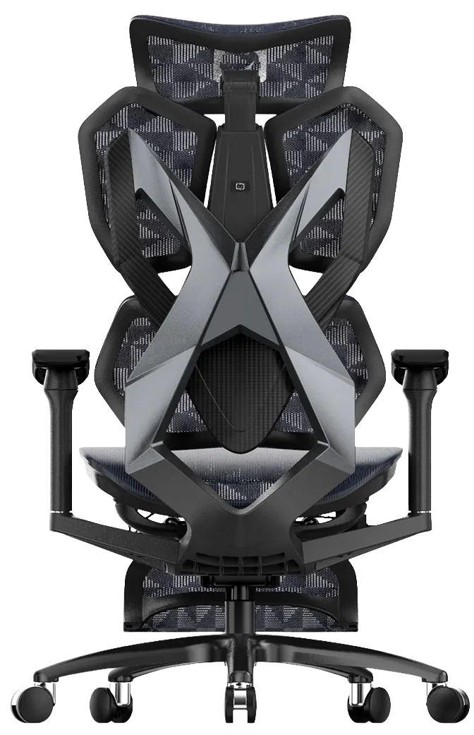 Back view of black XALLKING X5S ergonomic gaming chair showcasing lumbar support and modern ergonomic design