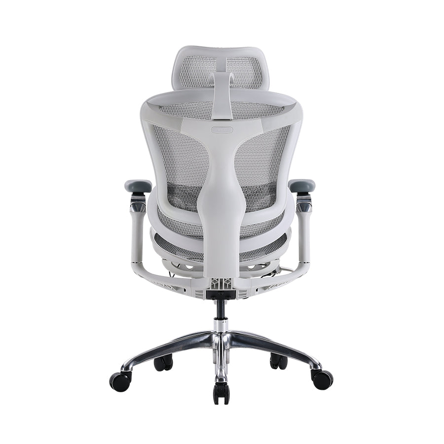 Back view of white Sihoo Doro C300 ergonomic chair in Australia showing breathable mesh backrest and support design