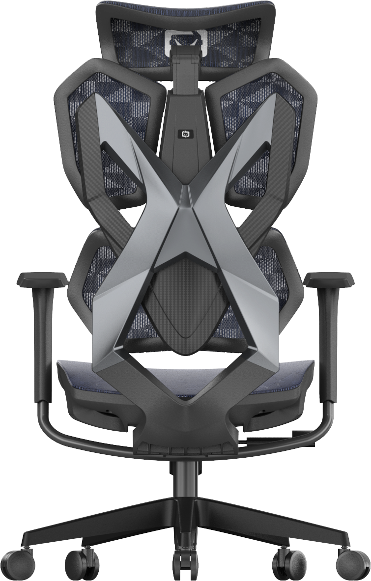 Back view of black XALLKING X5C ergonomic gaming chair showcasing lumbar support and sleek design for comfort.