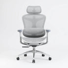 Sihoo A3 DORO-C100 Ergonomic Office Chair - SIHOO AustraliaSihoo A3 DORO-C100 Ergonomic Office Chair