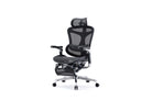 Sihoo DORO - C500 Ergonomic Office Chair - SIHOO AustraliaSihoo DORO - C500 Ergonomic Office Chair
