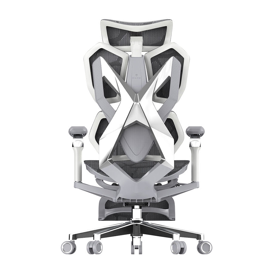 Back view of SIHOO X5 Pro ergonomic gaming chair in Australia, grey finish showcased against a clean white background