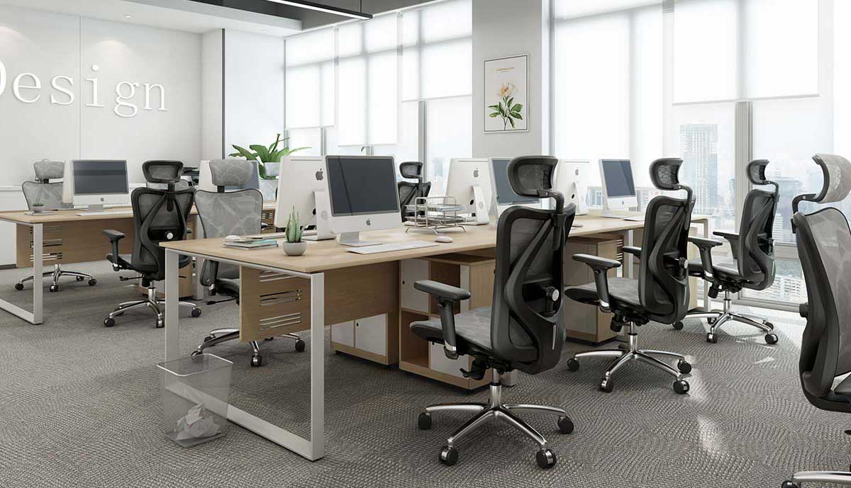 The Difference Between the Ergo Chair and Ordinary Office Chair