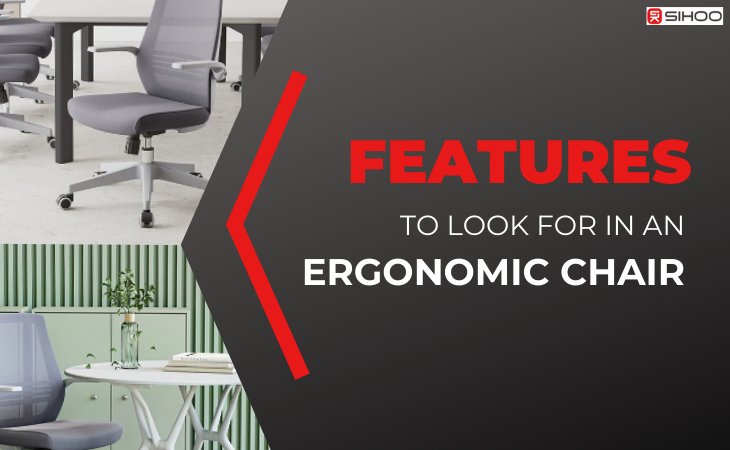 Ergonomic chair with overlay text highlighting key features to look for an ergonomic chair for comfort and support.