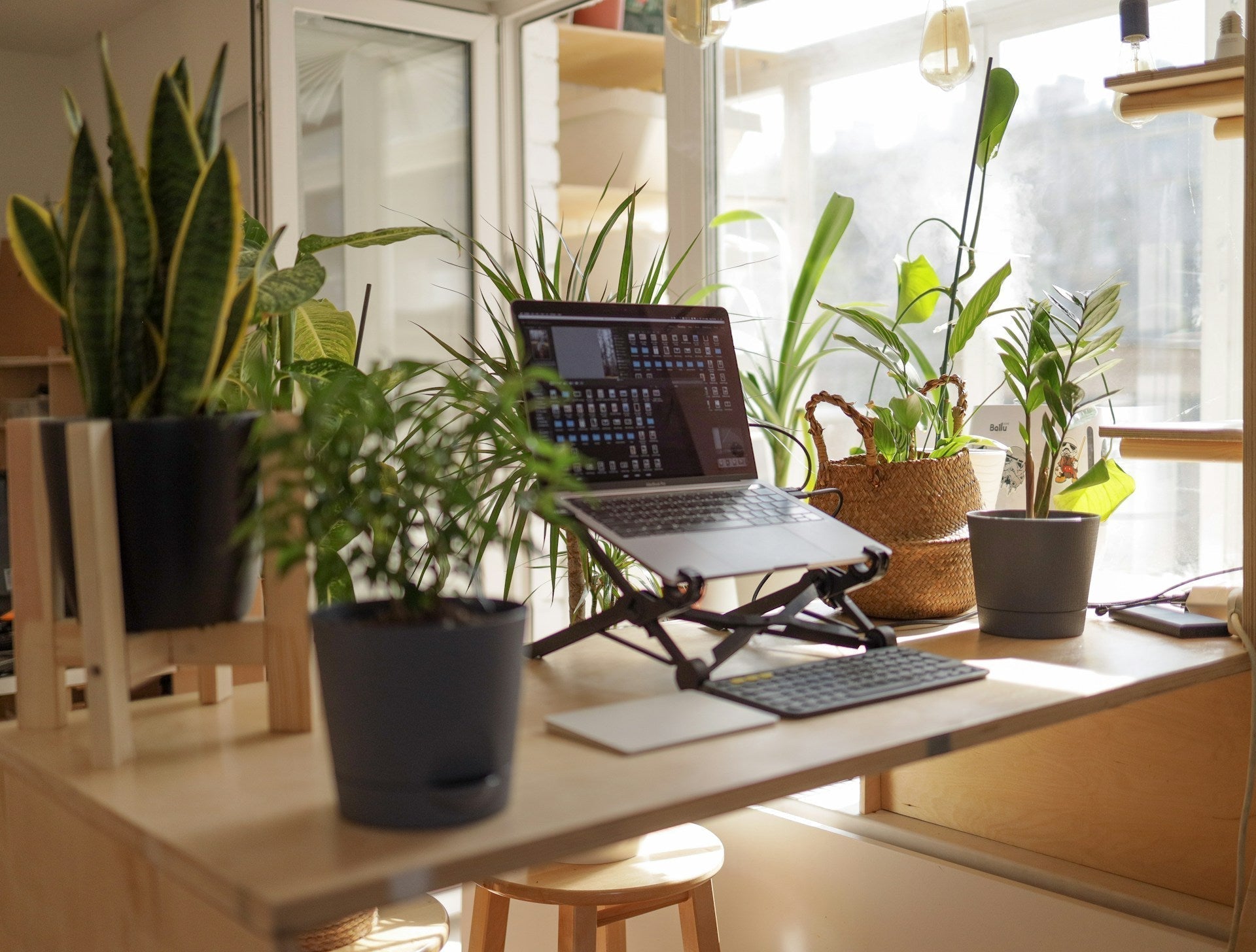 A home office with lots of plants, perfect setup for part time work from home jobs in australia. Image by vadim kaipov via www.unsplash.com