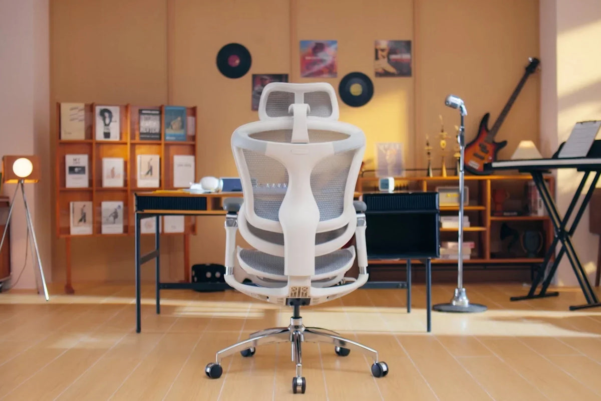 Comparison of SIHOO Premium Chairs: Doro C300 vs. Doro S300