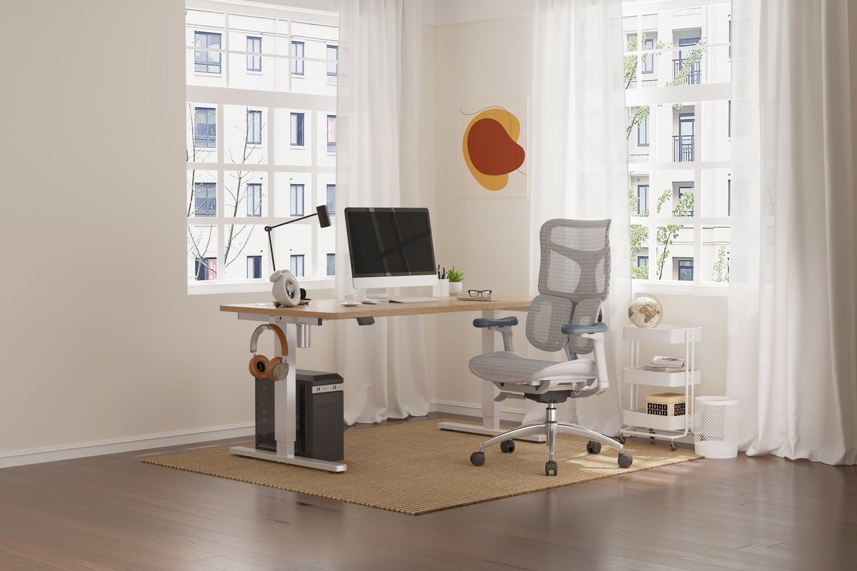 Comparing the New Sihoo Doro S100 to Other Sihoo Doro Series Chairs