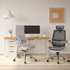 New Sihoo chairs in Australia: Doro S100 & M59AS Overview