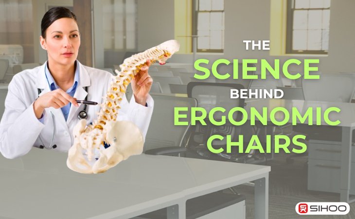 The Science Behind Ergonomic Chairs – SIHOO Australia