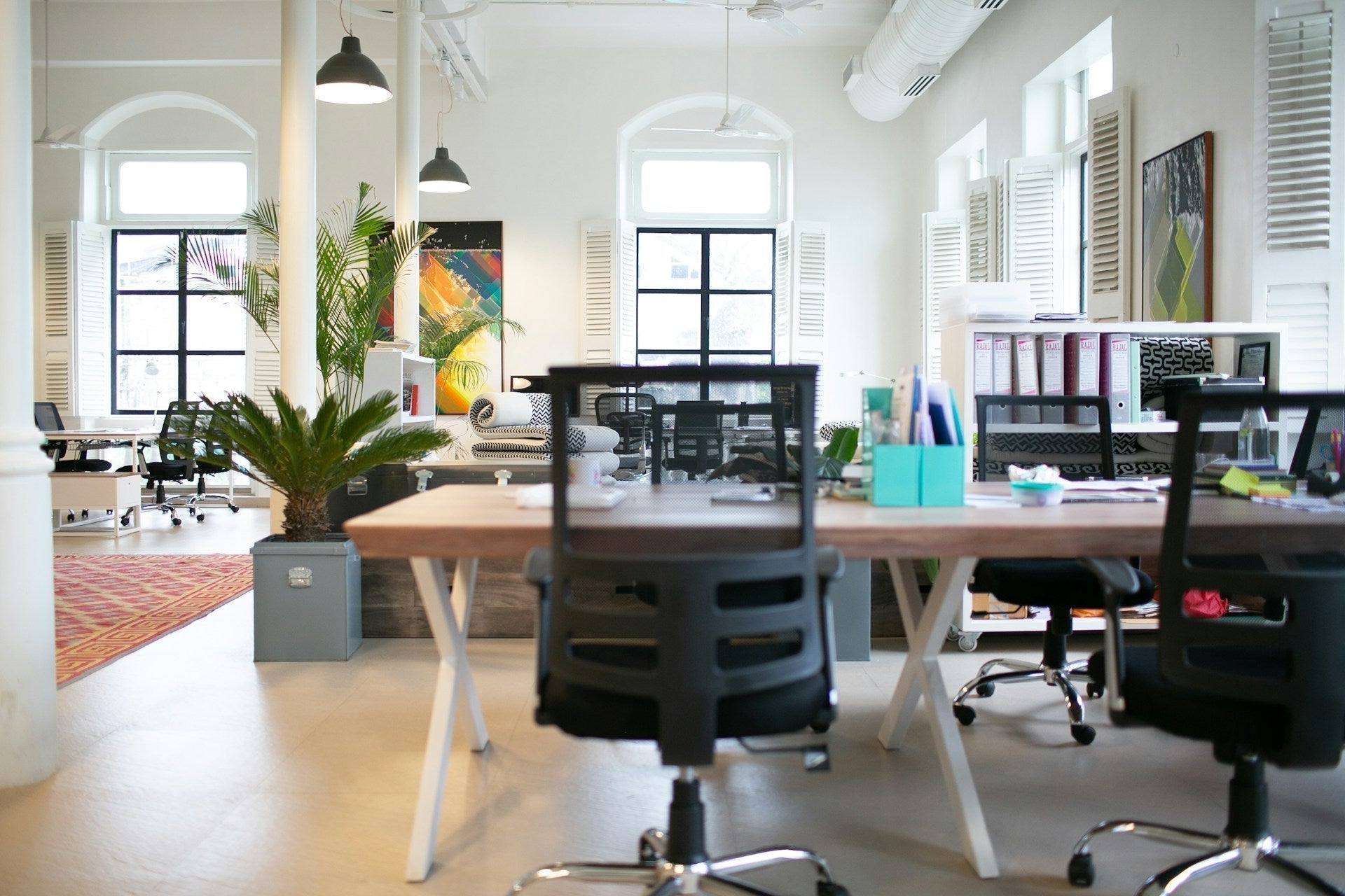 Modern office space with trendy office chairs, wooden desks, indoor plants, and bright natural lighting.