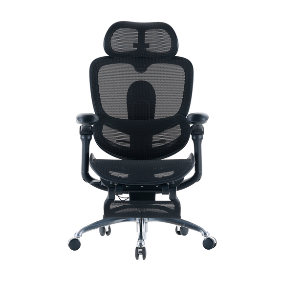 Sihoo DORO-C300 Pro V2 Ergonomic Office Chair