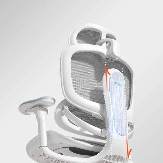SyncroFlex™ Back-Glide System