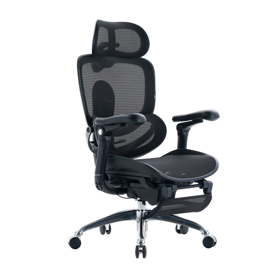 Sihoo DORO-C300 Pro V2 Ergonomic Office Chair