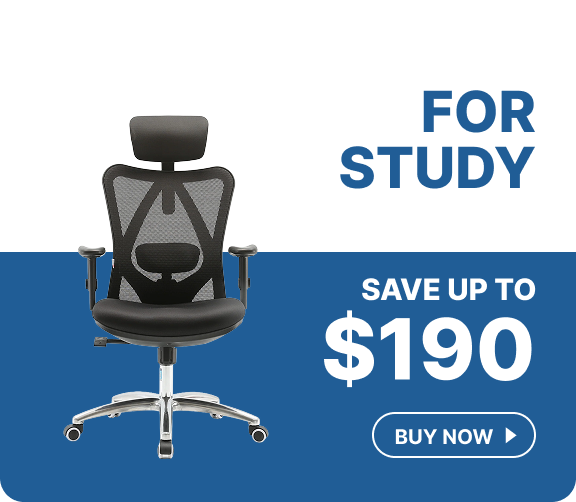 Black mesh ergonomic office chair with a headrest for studying, with savings of up to $190.