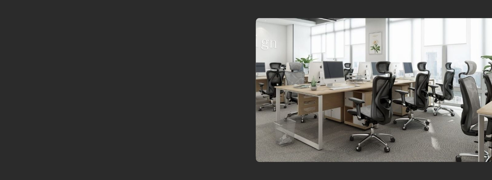 Modern office interior featuring multiple ergonomic chairs in a professional workspace setup.