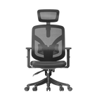 Front view of an ergonomic chair on a transparent background.