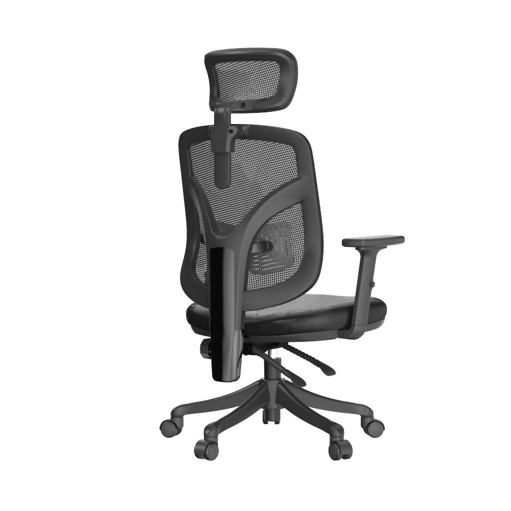 Semi back view of an ergonomic chair against a plain white background.