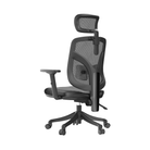 Semi back view of an ergonomic chair against a white background.