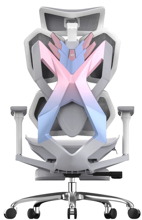 XALLKING X5F Ergonomic Gaming Chair