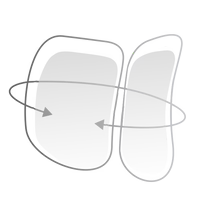Dual Dynamic Lumbar Support