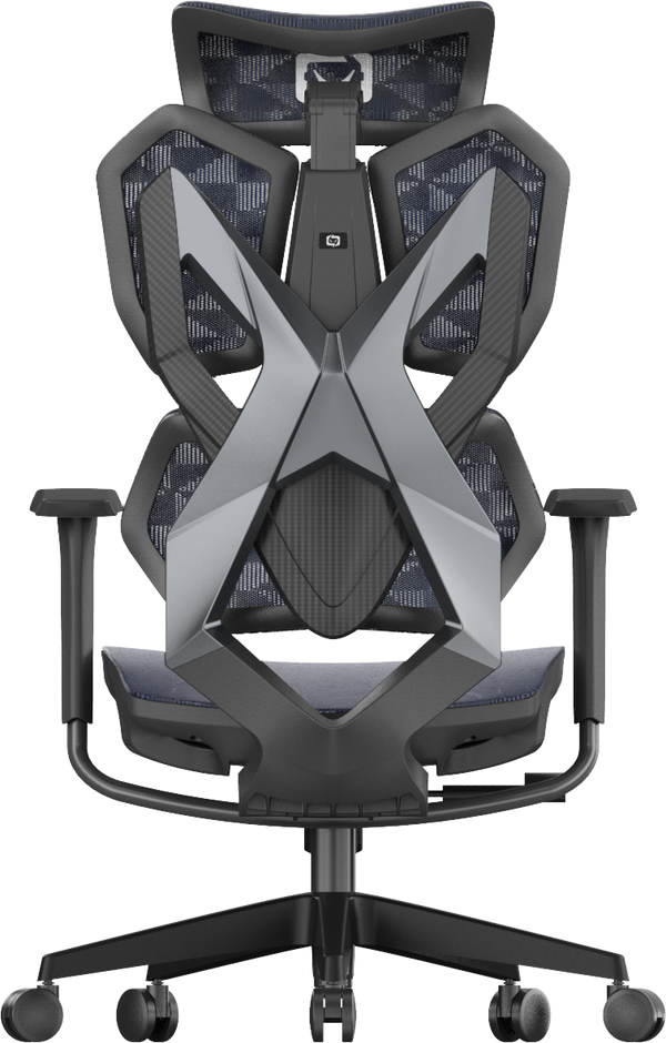 XALLKING X5C Ergonomic Gaming Chair