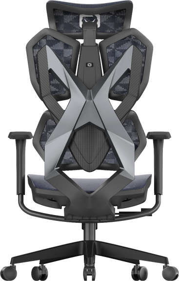 Back view of black XALLKING X5C ergonomic gaming chair showcasing lumbar support and sleek design for comfort.