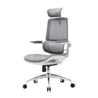 Gray Sihoo ergonomic chair with a sleek mesh backrest and modern office chair design.