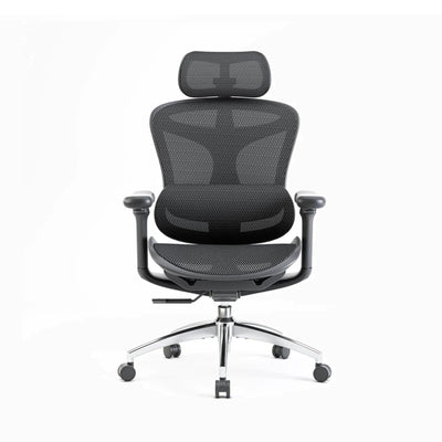 Sihoo A3 DORO-C100 Ergonomic Office Chair