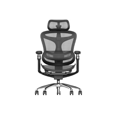 Sihoo A3 DORO-C300 Pro Ergonomic Office Chair