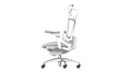 Sihoo A3 DORO-C300 Pro Ergonomic Office Chair - SIHOO AustraliaSihoo A3 DORO-C300 Pro Ergonomic Office Chair