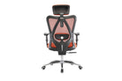 SIHOO M18 Ergonomics Task Office Chair - SIHOO AustraliaSIHOO M18 Ergonomics Task Office Chair