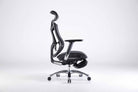 Sihoo V1 Ergonomic Office Chair - SIHOO AustraliaSihoo V1 Ergonomic Office Chair