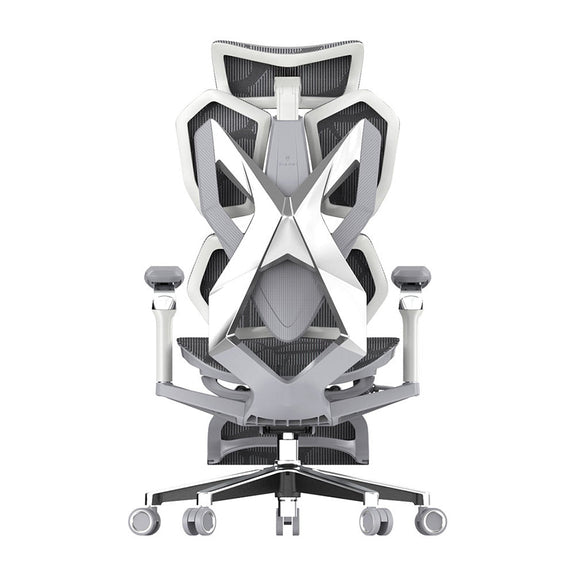 Back view of SIHOO X5 Pro ergonomic gaming chair in Australia, grey finish showcased against a clean white background