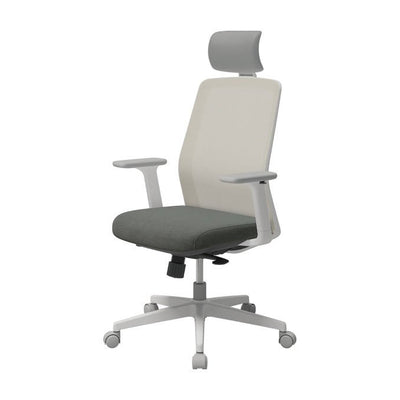 T40 SE Entry Level Ergonomic Chair