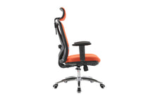 Load image into Gallery viewer, SIHOO M18 Ergonomics Task Office Chair
